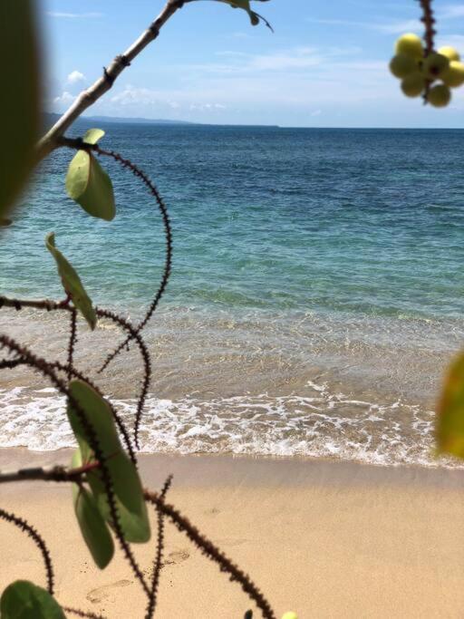 Villa Joeyshe- New Luxury Villa With Pool & Ac Puerto Viejo de Talamanca 외부 사진