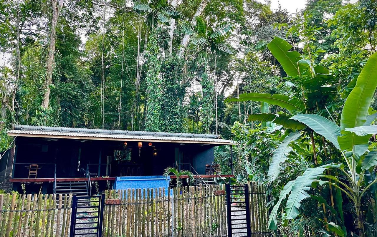 Villa Joeyshe- New Luxury Villa With Pool & Ac Puerto Viejo de Talamanca 외부 사진