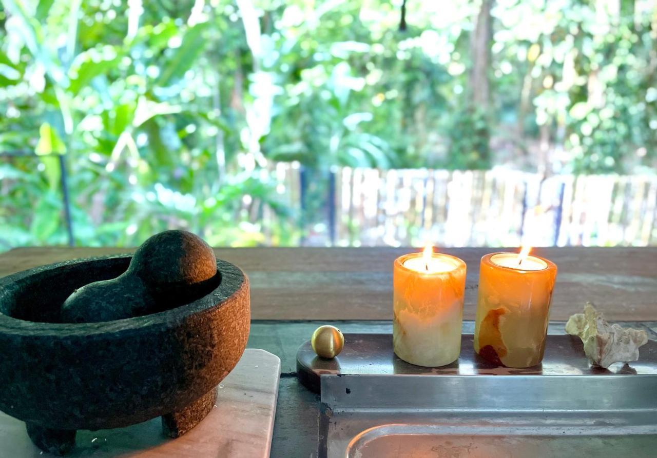 Villa Joeyshe- New Luxury Villa With Pool & Ac Puerto Viejo de Talamanca 외부 사진